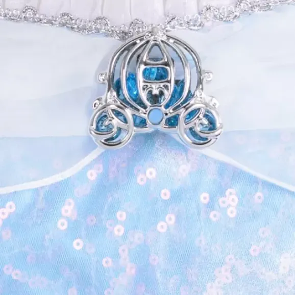 Cinderella Adaptive Costume For Adults
